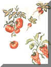 legumemai2003.jpg (76521 octets)